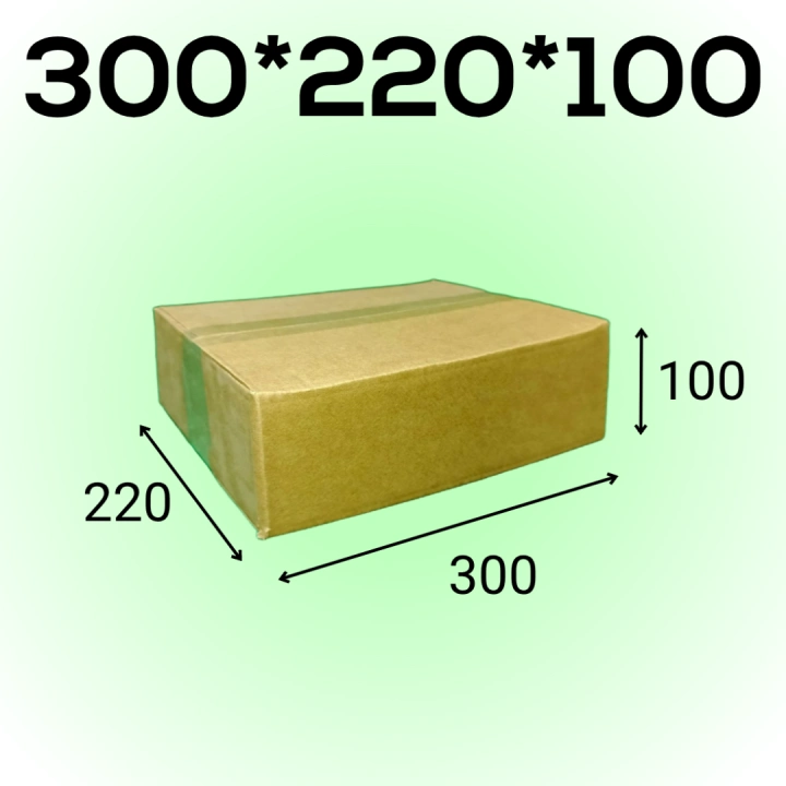 Короб 300*220*100 мм
