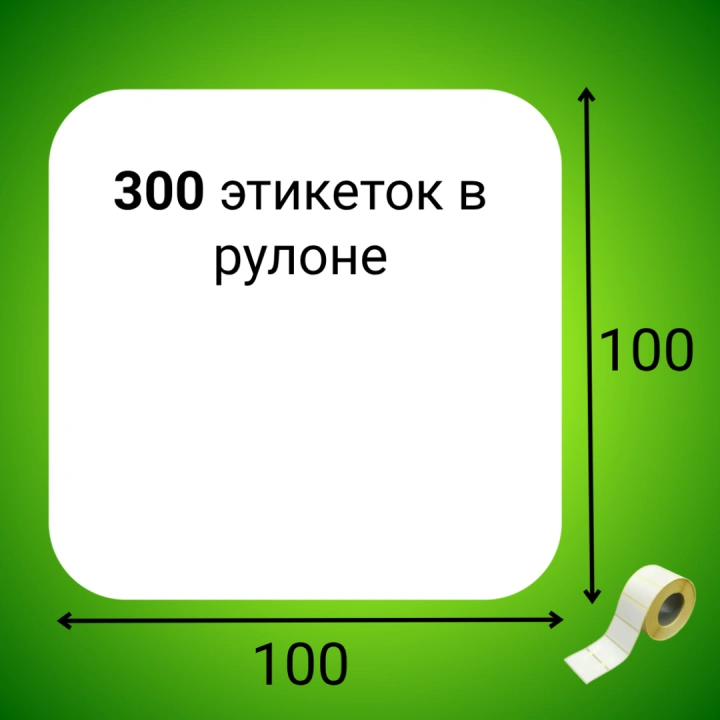 Термоэтикетка ЭКО 100*100 мм (300шт/рул)