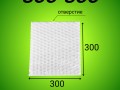 Пакет из ВПП 300*300 мм